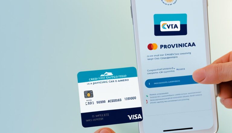 Cómo Sacar el Resumen de Mi Tarjeta de Credito Provincia en Argentina